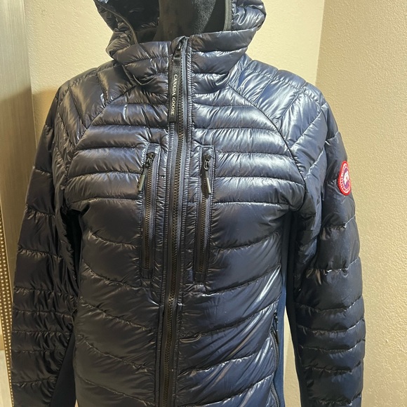 Cansa goose - Picture 6 of 16